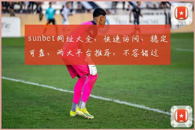 sunbet网址大全，快速访问，稳定可靠，两大平台推荐，不容错过