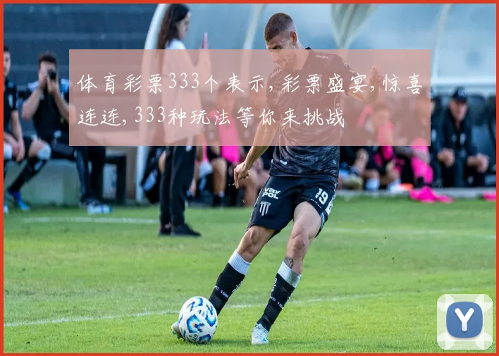 体育彩票333个表示,彩票盛宴,惊喜连连,333种玩法等你来挑战