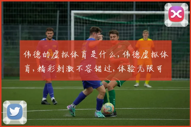 伟德的虚拟体育是什么,伟德虚拟体育,精彩刺激不容错过,体验无限可能